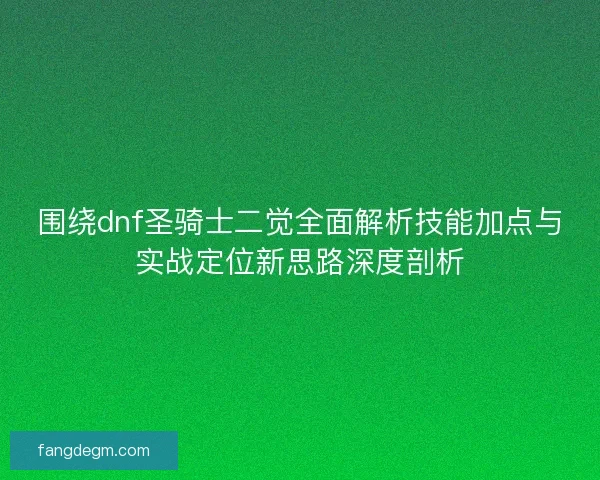 围绕dnf圣骑士二觉全面解析技能加点与实战定位新思路深度剖析